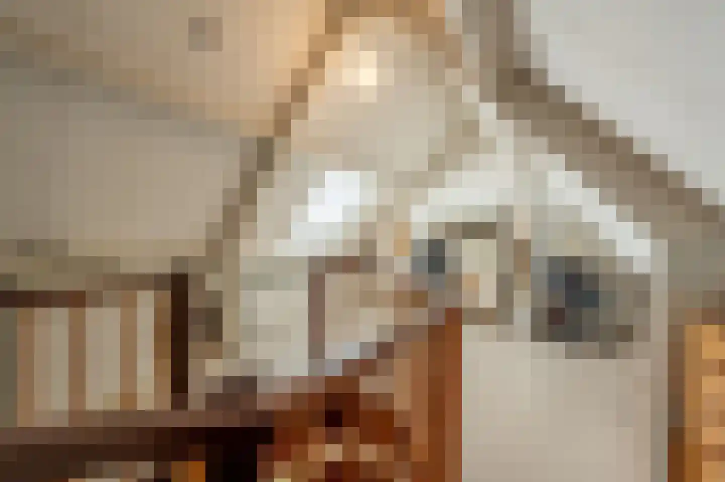 Kievit 53 Oud-Beijerland thumbnail 31