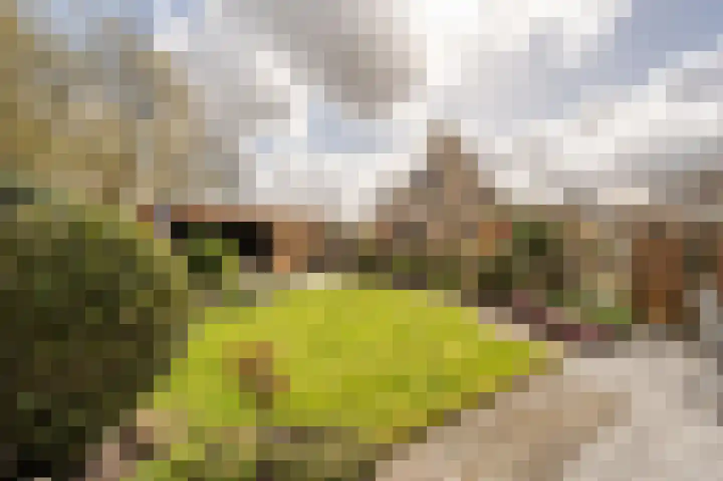 Kievit 53 Oud-Beijerland thumbnail 32