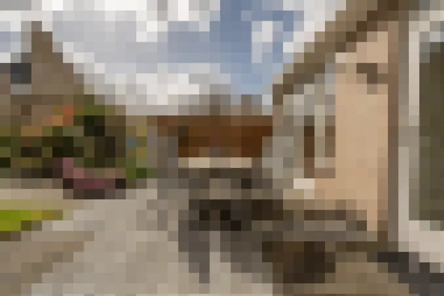 Kievit 53 Oud-Beijerland thumbnail 33