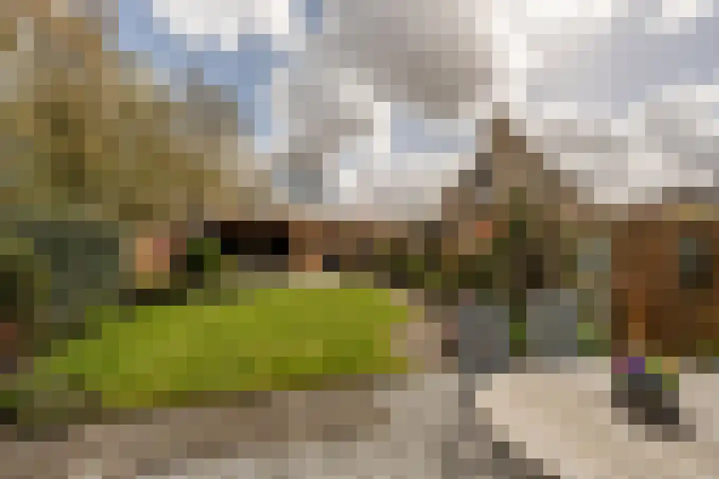 Kievit 53 Oud-Beijerland thumbnail 34