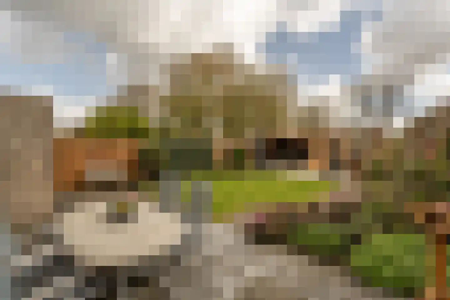 Kievit 53 Oud-Beijerland thumbnail 35