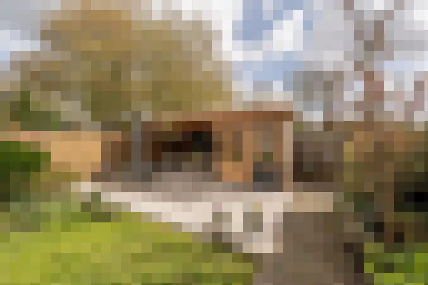 Kievit 53 Oud-Beijerland thumbnail 37
