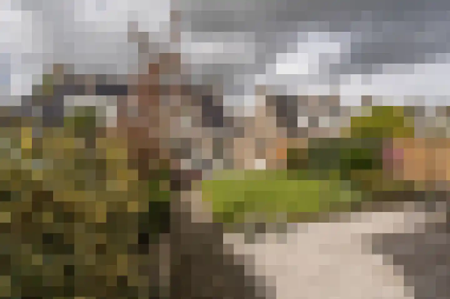 Kievit 53 Oud-Beijerland thumbnail 38