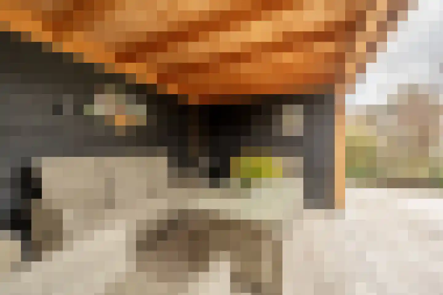 Kievit 53 Oud-Beijerland thumbnail 42