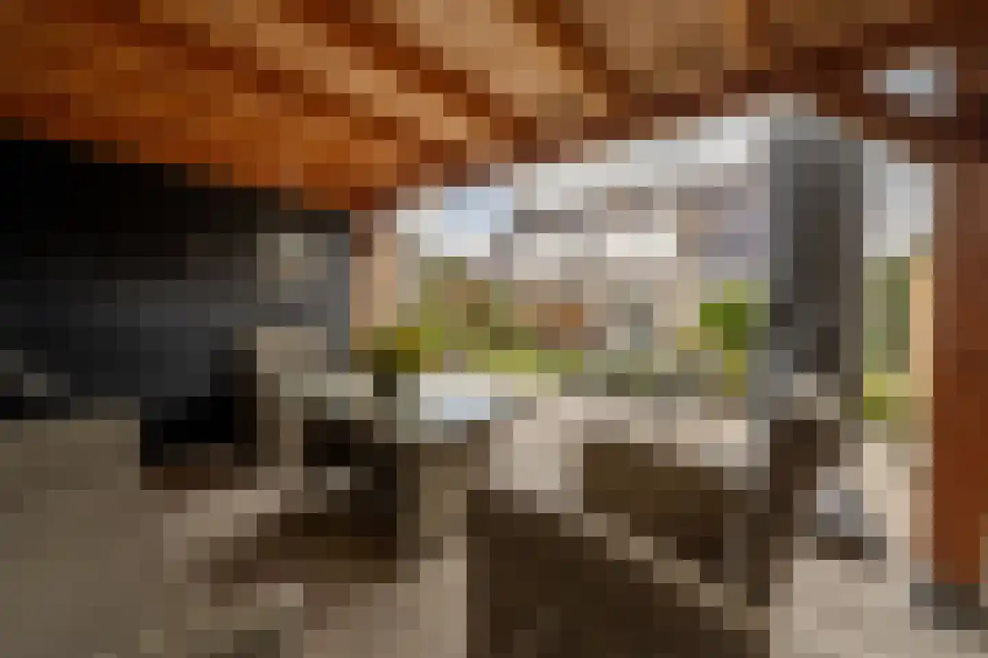 Kievit 53 Oud-Beijerland thumbnail 43