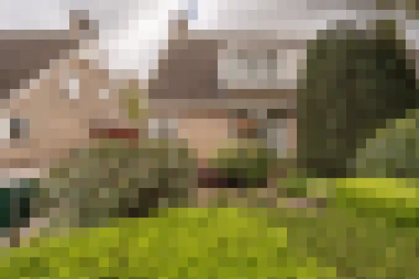Kievit 53 Oud-Beijerland thumbnail 47