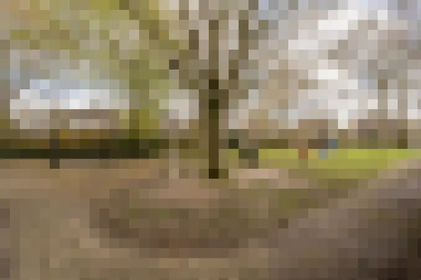 Kievit 53 Oud-Beijerland thumbnail 48