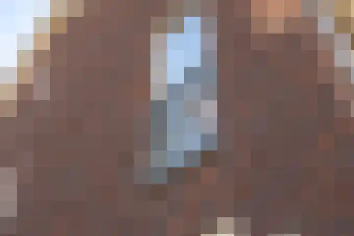 Kievit 56 Maurik thumbnail 13
