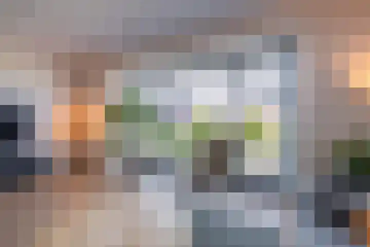 Kievit 56 Maurik thumbnail 20