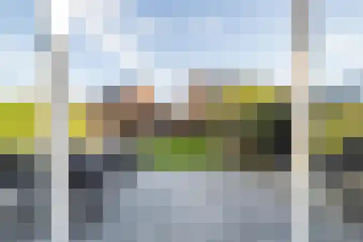 Kievit 56 Maurik thumbnail 37