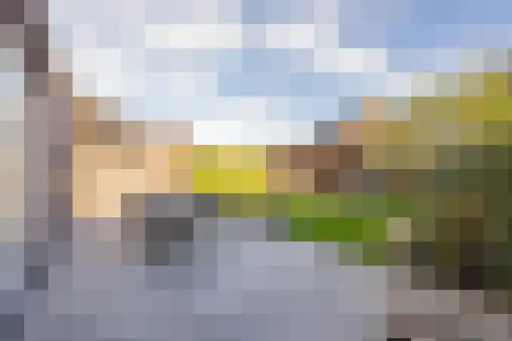Kievit 56 Maurik thumbnail 38