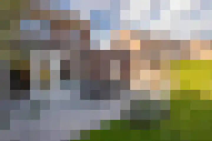 Kievit 56 Maurik thumbnail 39