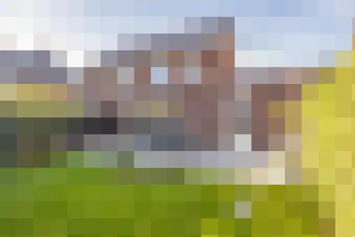 Kievit 56 Maurik thumbnail 41