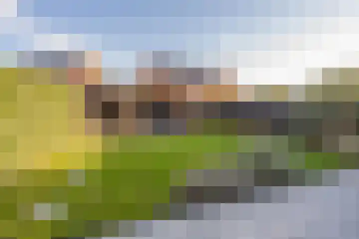 Kievit 56 Maurik thumbnail 43