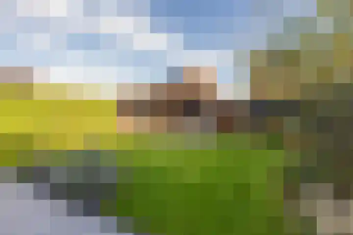 Kievit 56 Maurik thumbnail 44