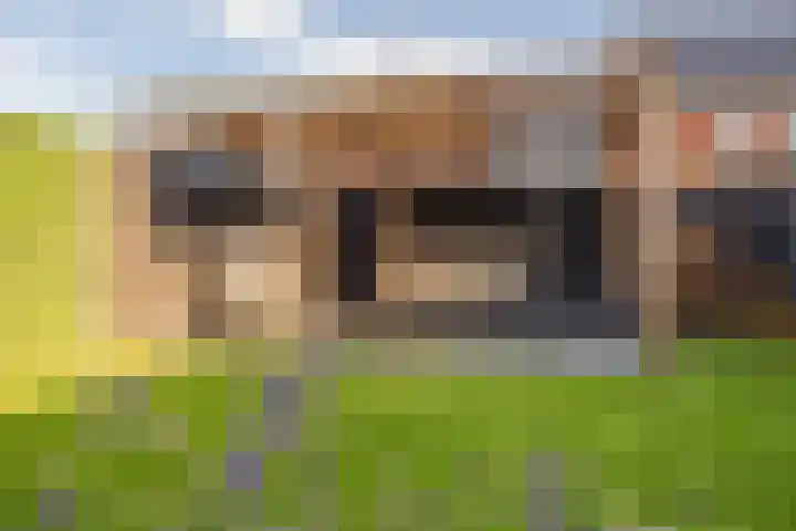 Kievit 56 Maurik thumbnail 45