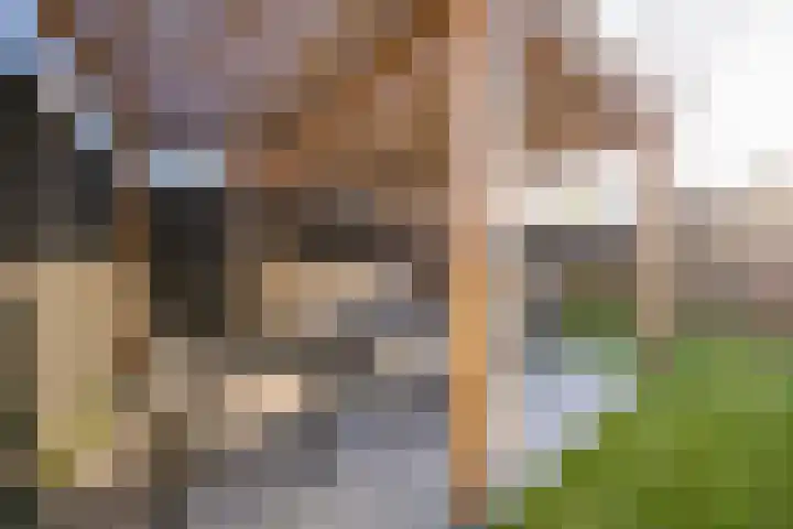 Kievit 56 Maurik thumbnail 46