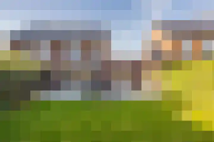 Kievit 56 Maurik thumbnail 47