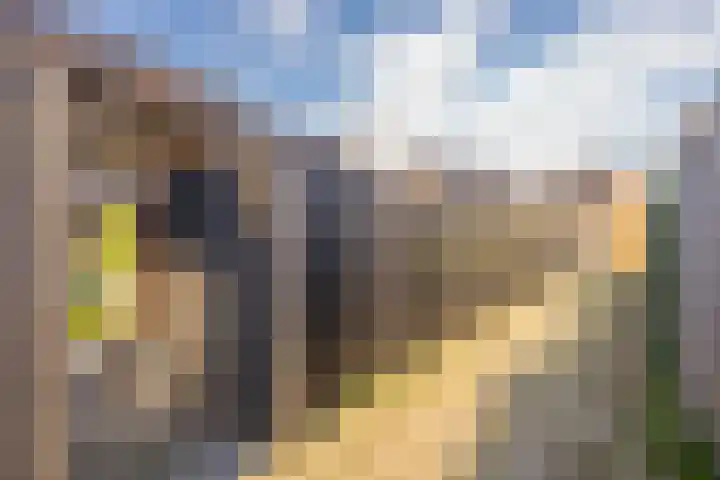 Kievit 56 Maurik thumbnail 48