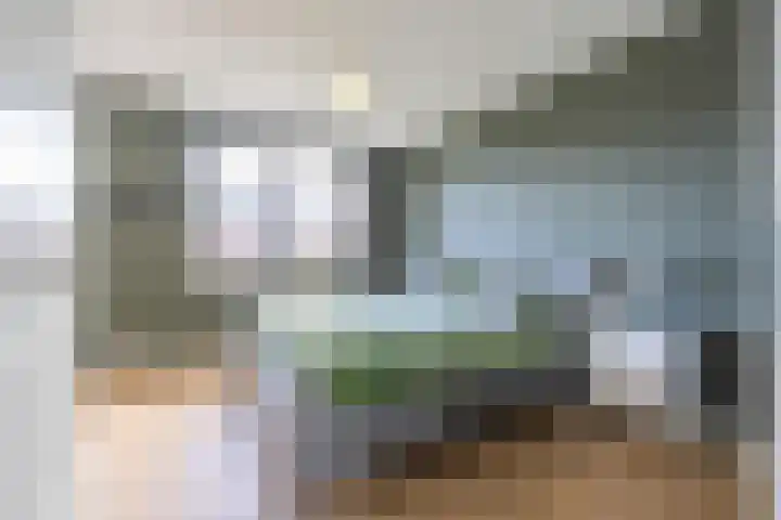 Kievit 56 Maurik thumbnail 51