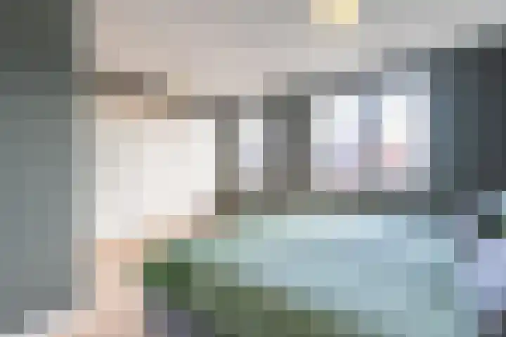 Kievit 56 Maurik thumbnail 52