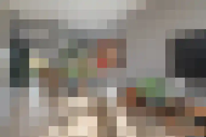 Kievit 58 Wijhe thumbnail 10