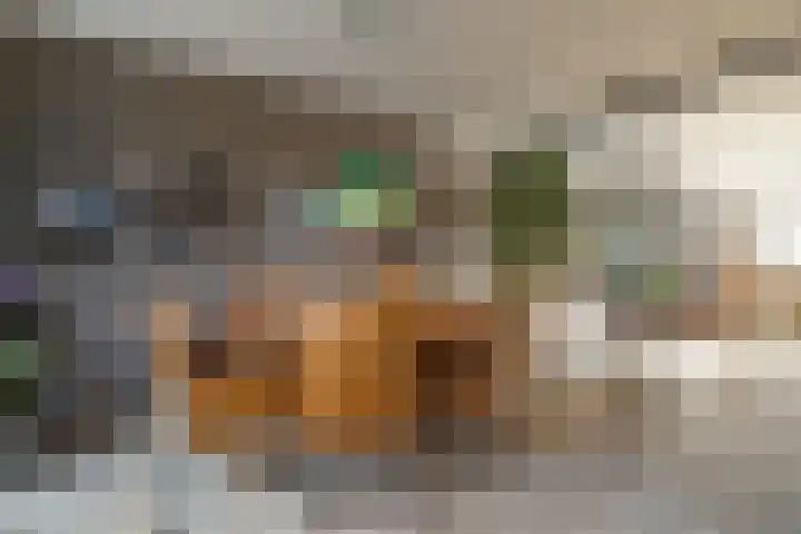 Kievit 58 Wijhe thumbnail 12