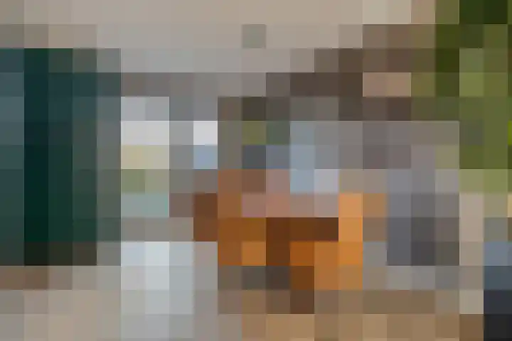 Kievit 58 Wijhe thumbnail 13