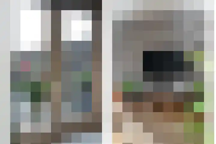 Kievit 58 Wijhe thumbnail 14