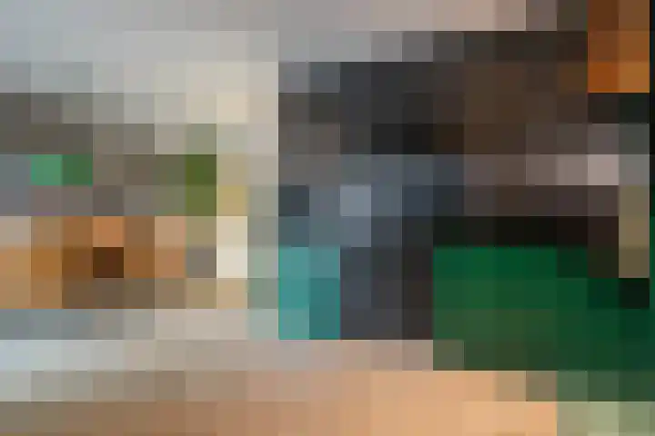 Kievit 58 Wijhe thumbnail 15