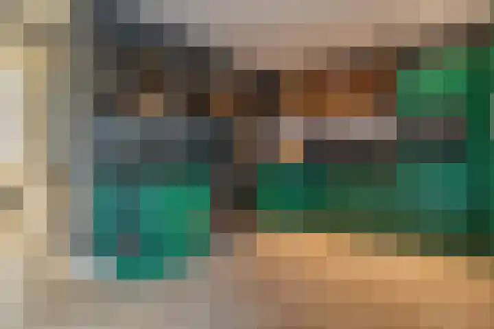 Kievit 58 Wijhe thumbnail 16