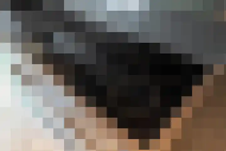 Kievit 58 Wijhe thumbnail 17