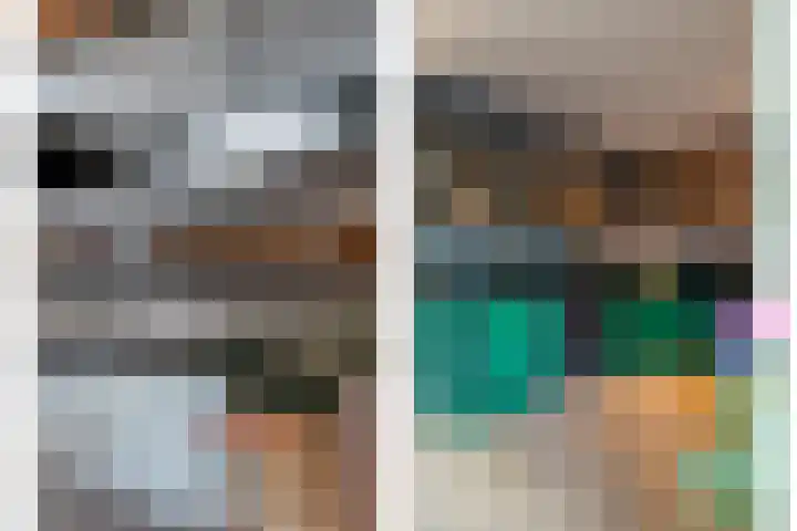 Kievit 58 Wijhe thumbnail 18
