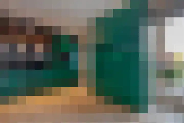 Kievit 58 Wijhe thumbnail 19