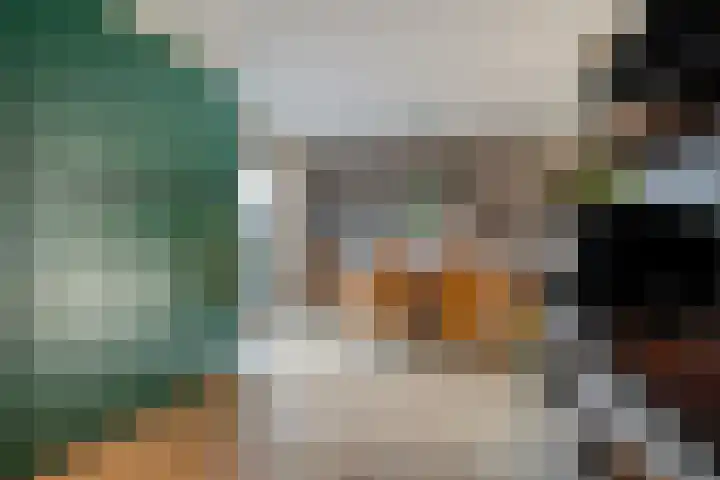 Kievit 58 Wijhe thumbnail 21