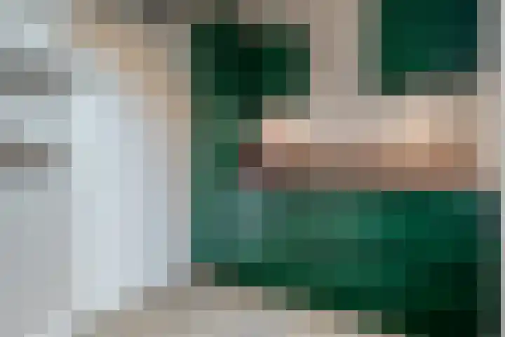 Kievit 58 Wijhe thumbnail 22