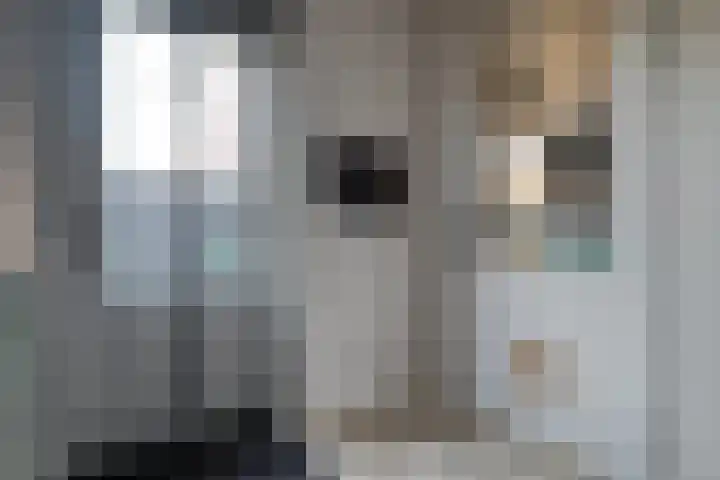 Kievit 58 Wijhe thumbnail 23