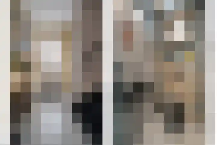 Kievit 58 Wijhe thumbnail 24