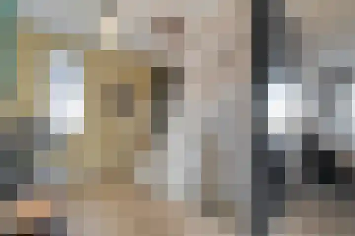 Kievit 58 Wijhe thumbnail 26
