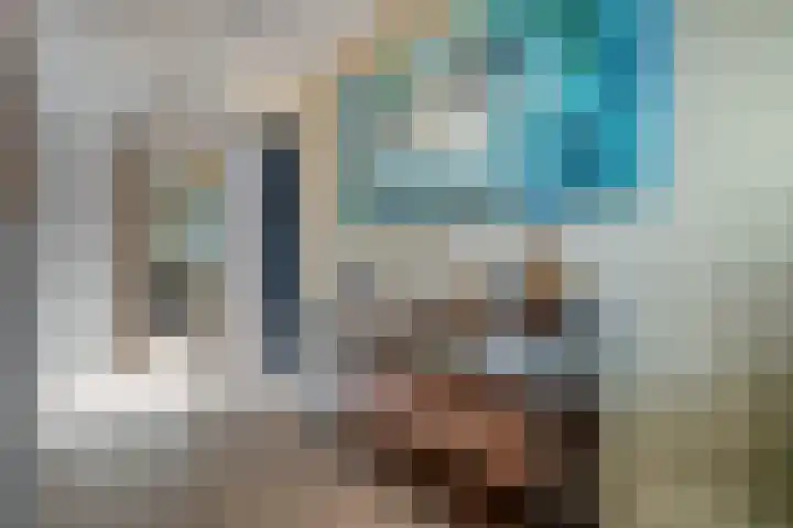 Kievit 58 Wijhe thumbnail 27