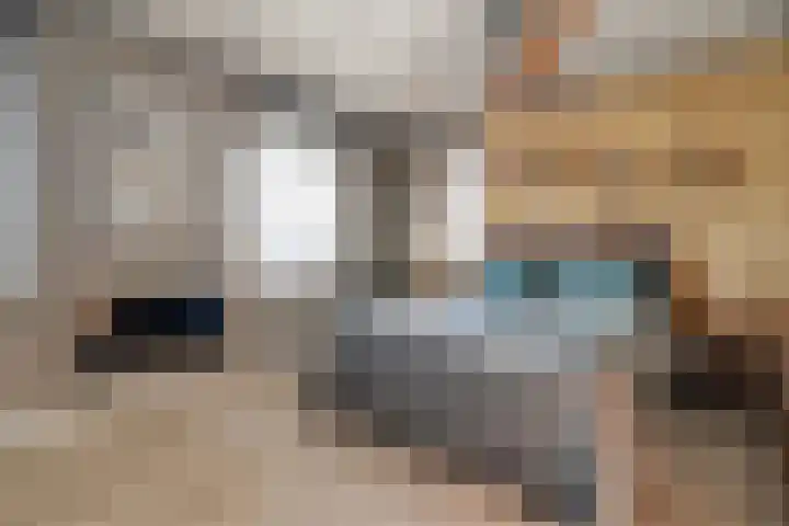 Kievit 58 Wijhe thumbnail 28