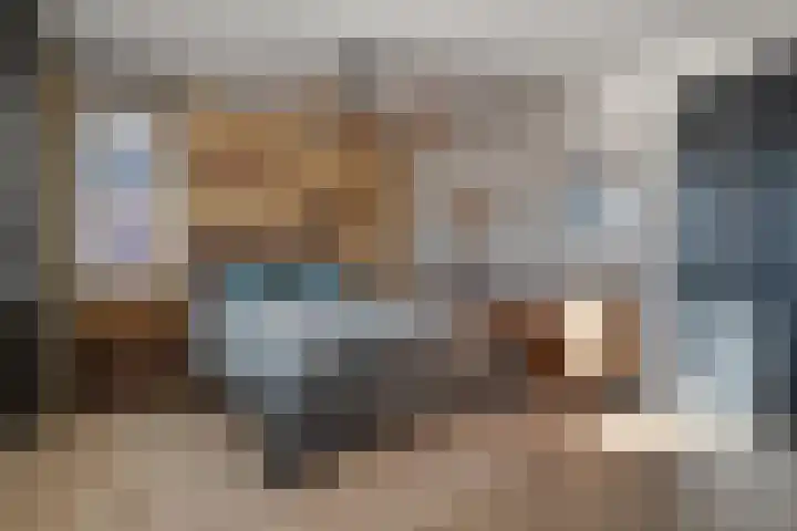 Kievit 58 Wijhe thumbnail 29
