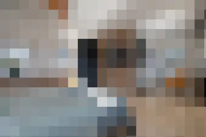 Kievit 58 Wijhe thumbnail 30