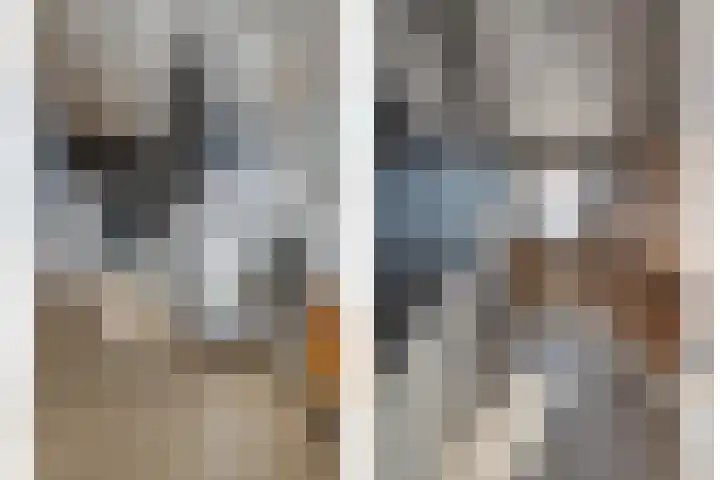 Kievit 58 Wijhe thumbnail 32