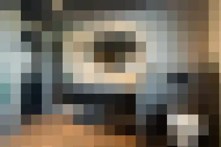 Kievit 58 Wijhe thumbnail 36