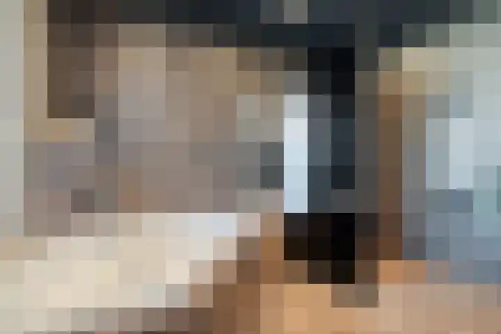 Kievit 58 Wijhe thumbnail 39
