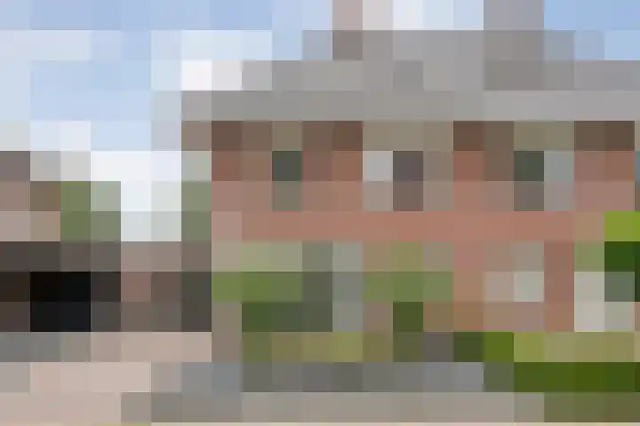 Kievit 58 Wijhe thumbnail 4
