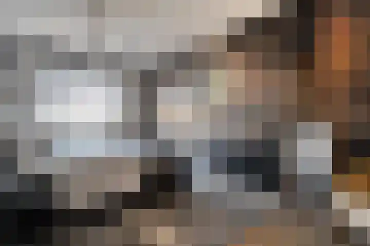 Kievit 58 Wijhe thumbnail 41