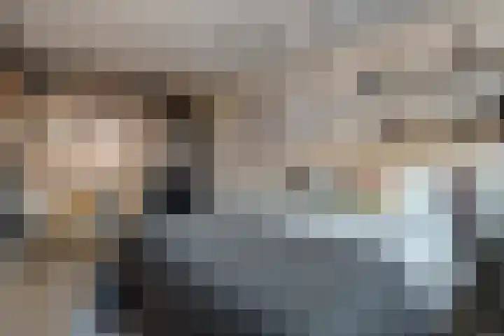 Kievit 58 Wijhe thumbnail 42