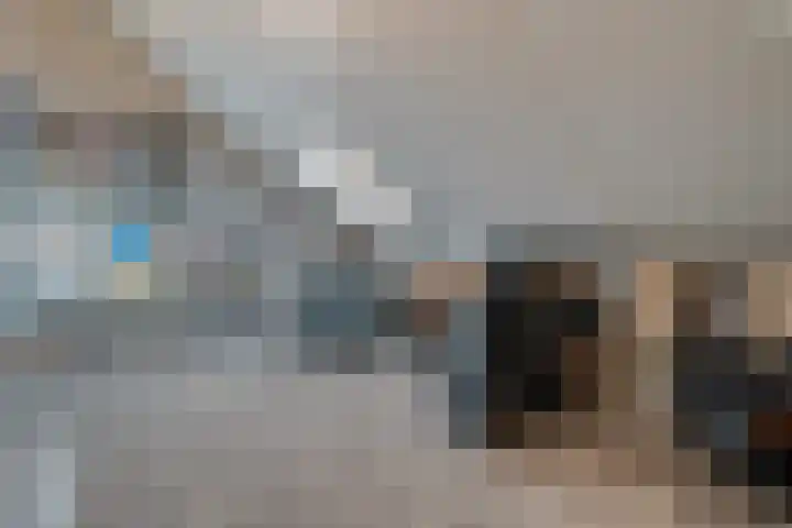 Kievit 58 Wijhe thumbnail 44